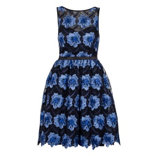 Blue And Black Mesh Floral Skater Dress